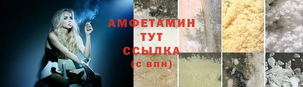 дживик Бородино