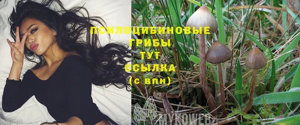 синтетический гашиш Богданович