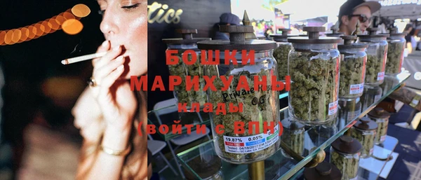ECSTASY Богородицк