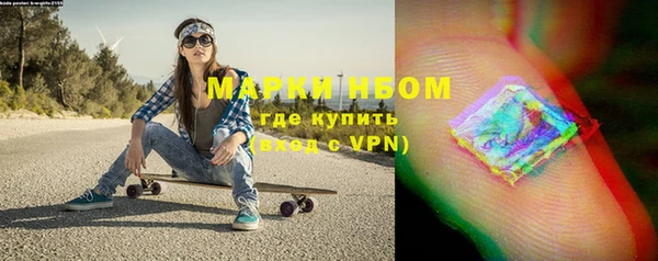 дживик Бородино