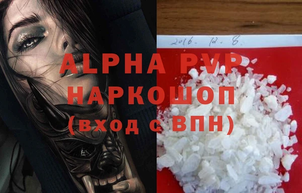 дживик Бородино