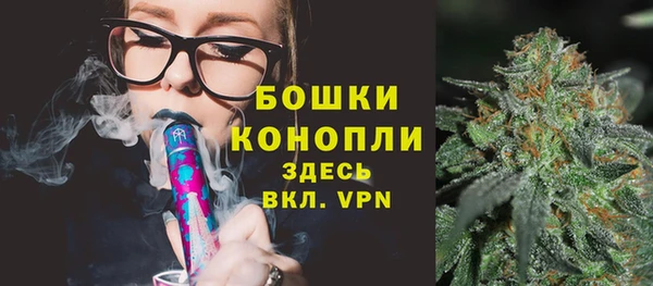 ECSTASY Богородицк