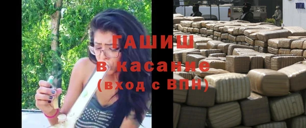 ECSTASY Богородицк