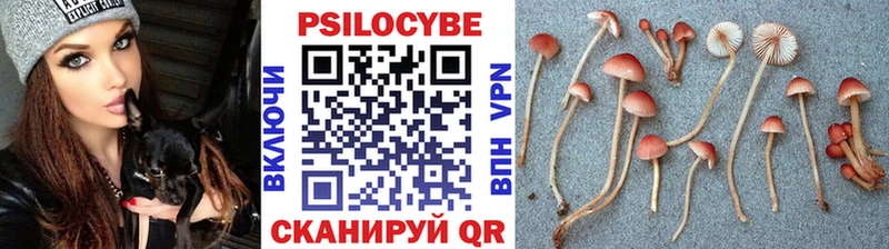 Галлюциногенные грибы мицелий  Высоцк 